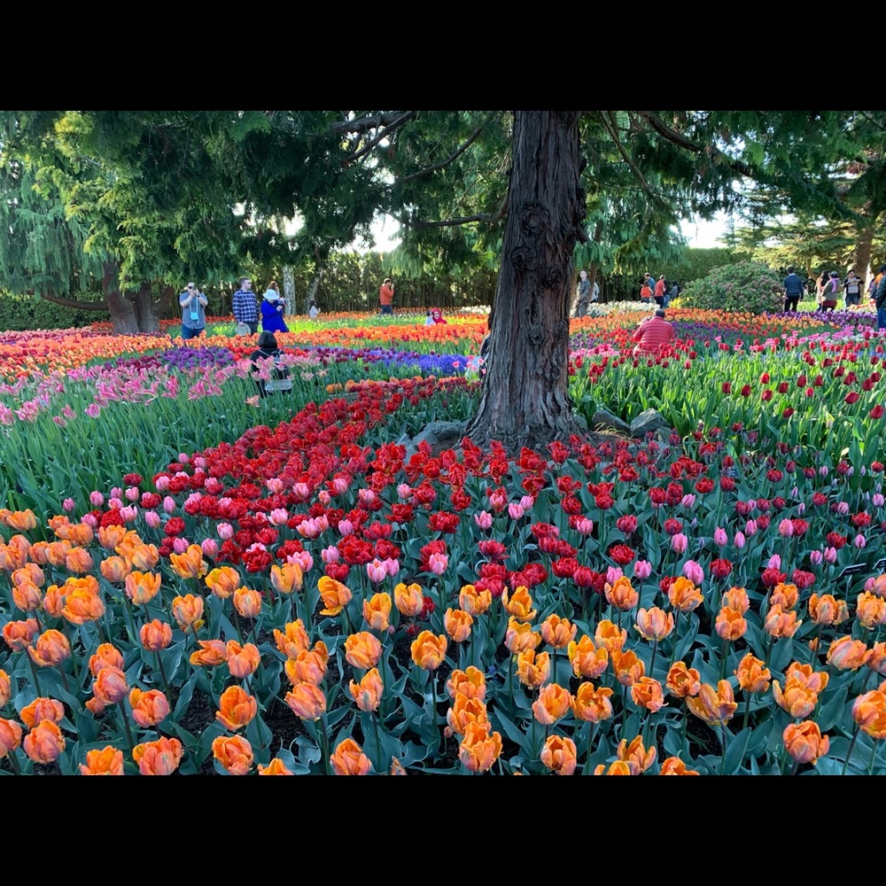 Meet your Posher, Carly